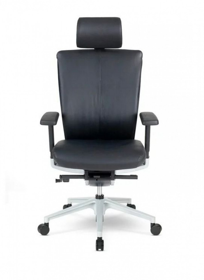 Офисное компьютерное кресло Schairs AEON-F01SX натуральная кожа Офисное компьютерное кресло Schairs AEON-F01SX натуральная кожа