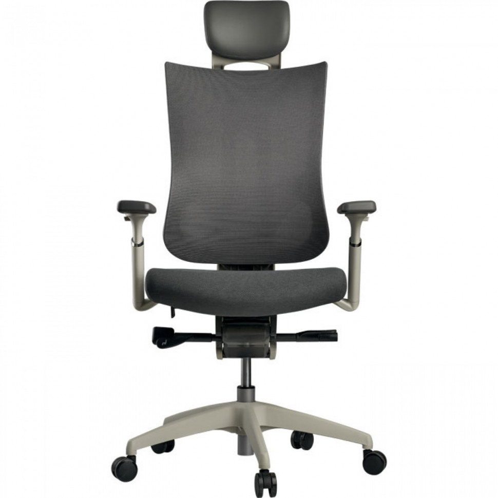 Функциональное кресло Schairs Tone-M01W, Цвет: серый Функциональное кресло Schairs Tone-M01W, Цвет: серый